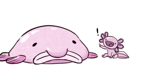 micaxiii: micaxiii: Squishy got a new friend.Their name is Squashy. They would like to thank the aca
