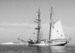 fritzlanguish:  Tall Ship, Two Harbors-Catalina,
