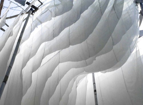 PAVILION OF CANOPIES / Abin Design StudioBuilt for a religious festival of a tribal community west o