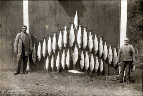 vintagenorway:Salmon fishermen, Rauma, Norway, 1906