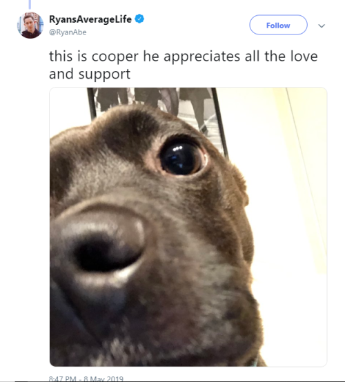 please give Cooper infinite kisses from me