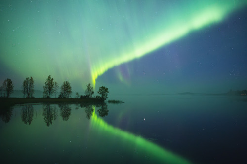 tiinatormanenphotography: Aurora archives.  Finland 2013-2015.  by Tiina Törmäne