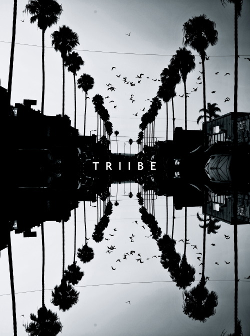 trecarde:  New shirts, sweatshirts, & accessories! www.triibeclothing.com