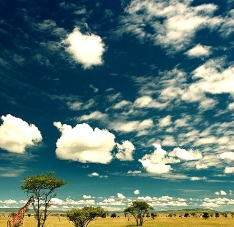 Serengeti National Park, Tanzania