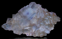 hematitehearts:  Blue Fluorite with Purple core in largest CrystalLocality:   Minerva #1 Mine, Hardin County, Illinois.  