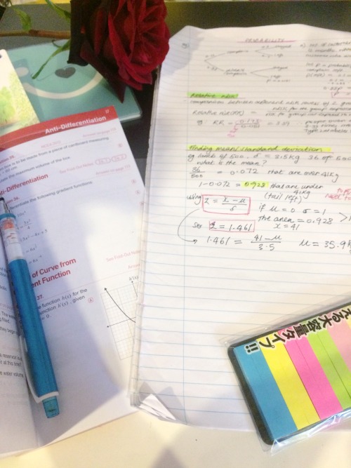 Study time is crying time but at least I have nice roses to accompany me