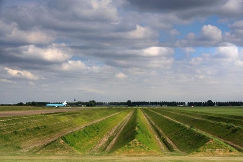 ryanpanos:    How Amsterdam’s Airport Is Fighting Noise Pollution With Land Art | Via Amsterdam’s Schiphol Airport, located just 9 km southwest of the city, is the third busiest airport in Europe and one of the busiest in the world. In an average