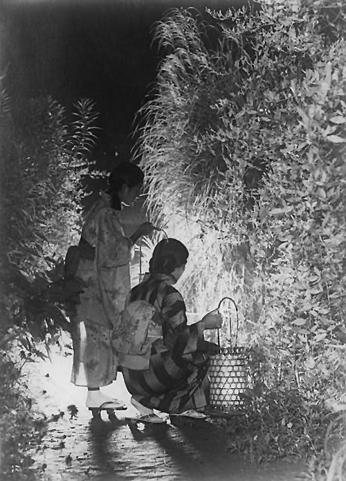 aozoramusume:  Moon viewing on an autumn night in the Mukojima-Hyakkaen Garden, Tokyo,