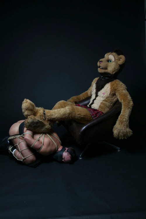uptopuppystuff:  Aww :-)