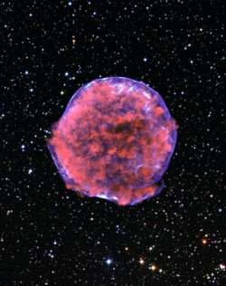 infinity-imagined:  Supernova remnants imaged with the Chandra X-Ray space telescope. 