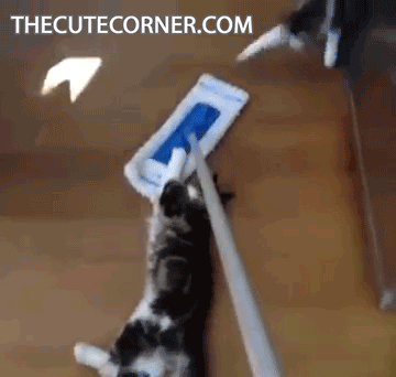Does this thing stop at the kitchen?