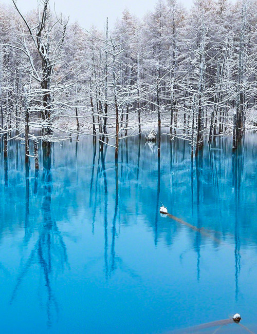 coiour-my-world: Blue Pond at Snow ~ by Kent Shiraishi Biei in Hokkaido, Japan.