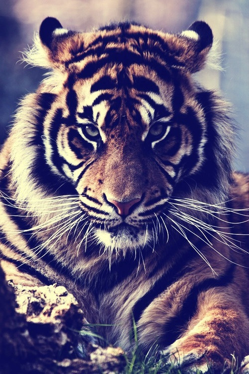Infinity en We Heart It. http://weheartit.com/entry/74356358/via/London1998 