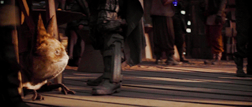 reysol-o:wolvista:An adorable little creature walks into a cantina…I love the double take at 