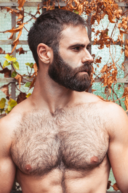 Fuente brotante