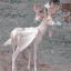 jackalope-prince