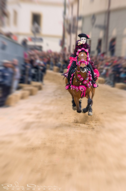 fuckyeahsardinia: Sa Sartiglia, Oristano, Sardinia Sartiglia 2011 (di Jokermanssx)