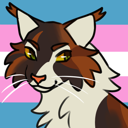 berrym00n: pride batch #2transfemme brightheart, gay asexual littlecloud, demigirl lesbian mossfireo