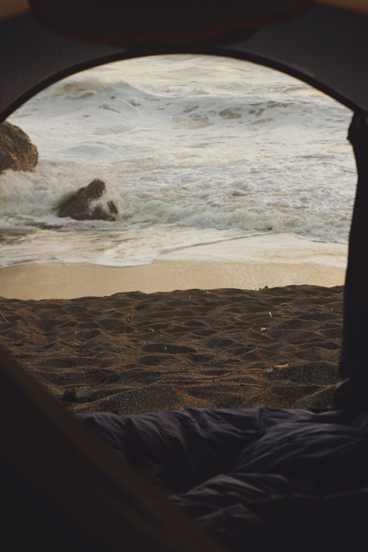 Seize the Day