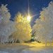 tr-travel-girl-deactivated20220:Wow, beautiful Sweden in Winter❄️☃️🇸🇪