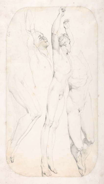 Studies for the Cadaver of Acron by Jean-Auguste-Dominique Ingres, for the painting Romulus’ Victory