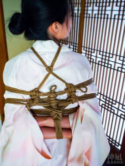 japanesebdsmofficial:    Kinbaku&Photo