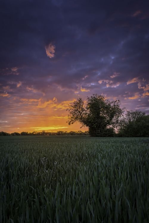 photo by Kaspars Ciematnieks | MY TUMBLR BLOG | Pleasantly Epic. When you realize your backyard is t