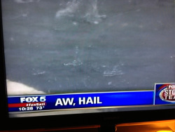 thewhatever:  AW, HAIL NAW              