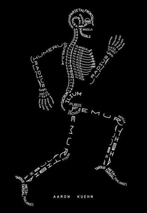 themaninthegreenshirt:  Bones by Aaron Kuehn 