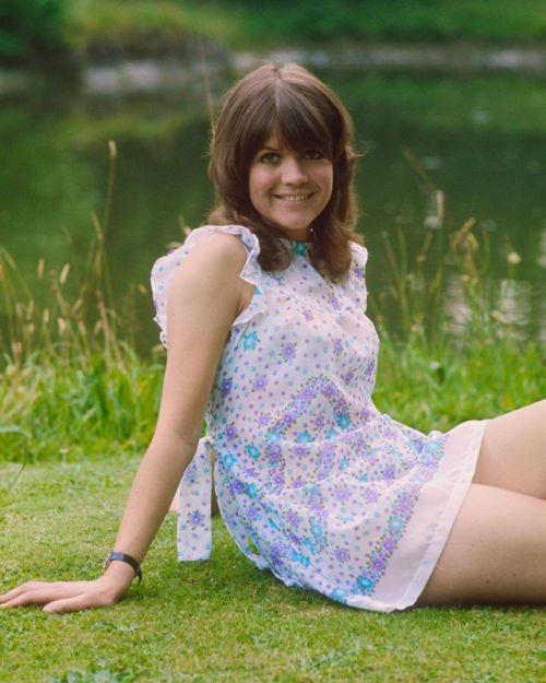 The delectable Sally Geeson