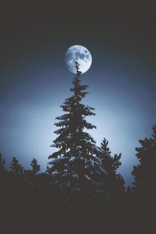 ourlittlesecretlust: trasemc: I love the moon