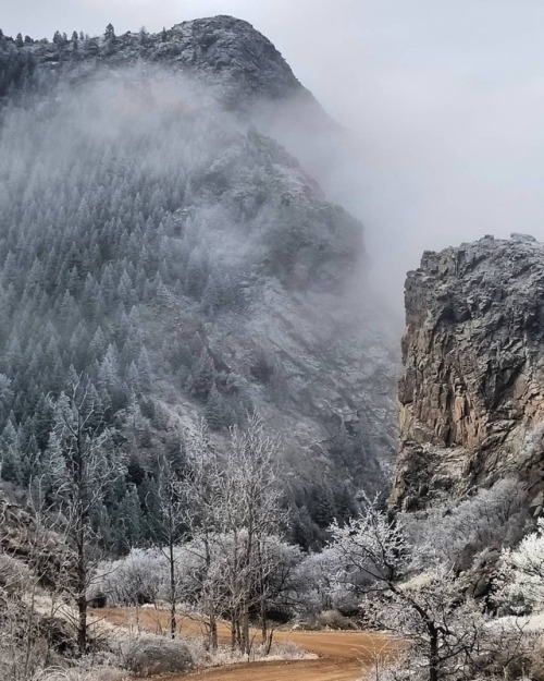 Always a pretty drive #ShelfRoad #Fog #Colorado #CrippleCreek #Instagramers #InstaDaily #Photograph