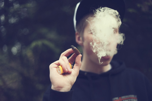 nicknigger:  diceberg:  hustle trees  dope pic