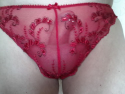 mascpanties:  hungry4cockypanties:  martibuck:  Looking for training to be a slut sissy  Love those red sheer panties!!  Those are so fucking cute! 