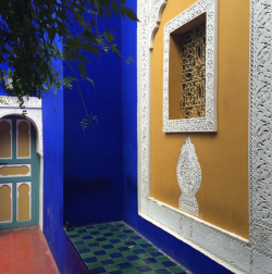 newjork:jardin majorelle, marrakesh