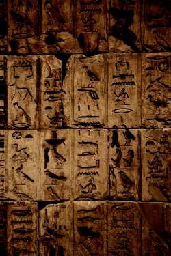 photographyofdavidhanjani:  Hieroglyphics.