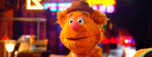 deadlightsgirl:  muppetmindset:  “Good grief, the comedian’s a bear!”  “No he’s-a not, he’s-a wearing a necktie!”   my all-time favorite punchline. makes me laugh every time i hear it.