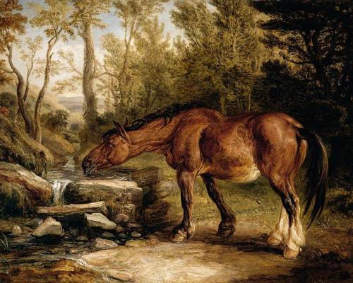 Horse Drinking at a Stream, James Ward, 1838