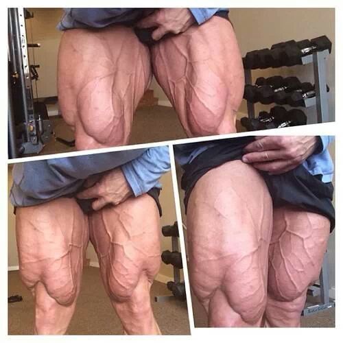 muscledog:  Nick Trigili…Quads  damn…