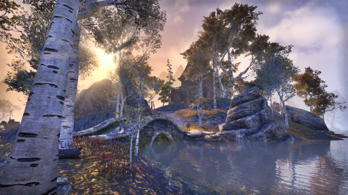 lady-of-cinder:ESO - The Rift Province of Skyrim