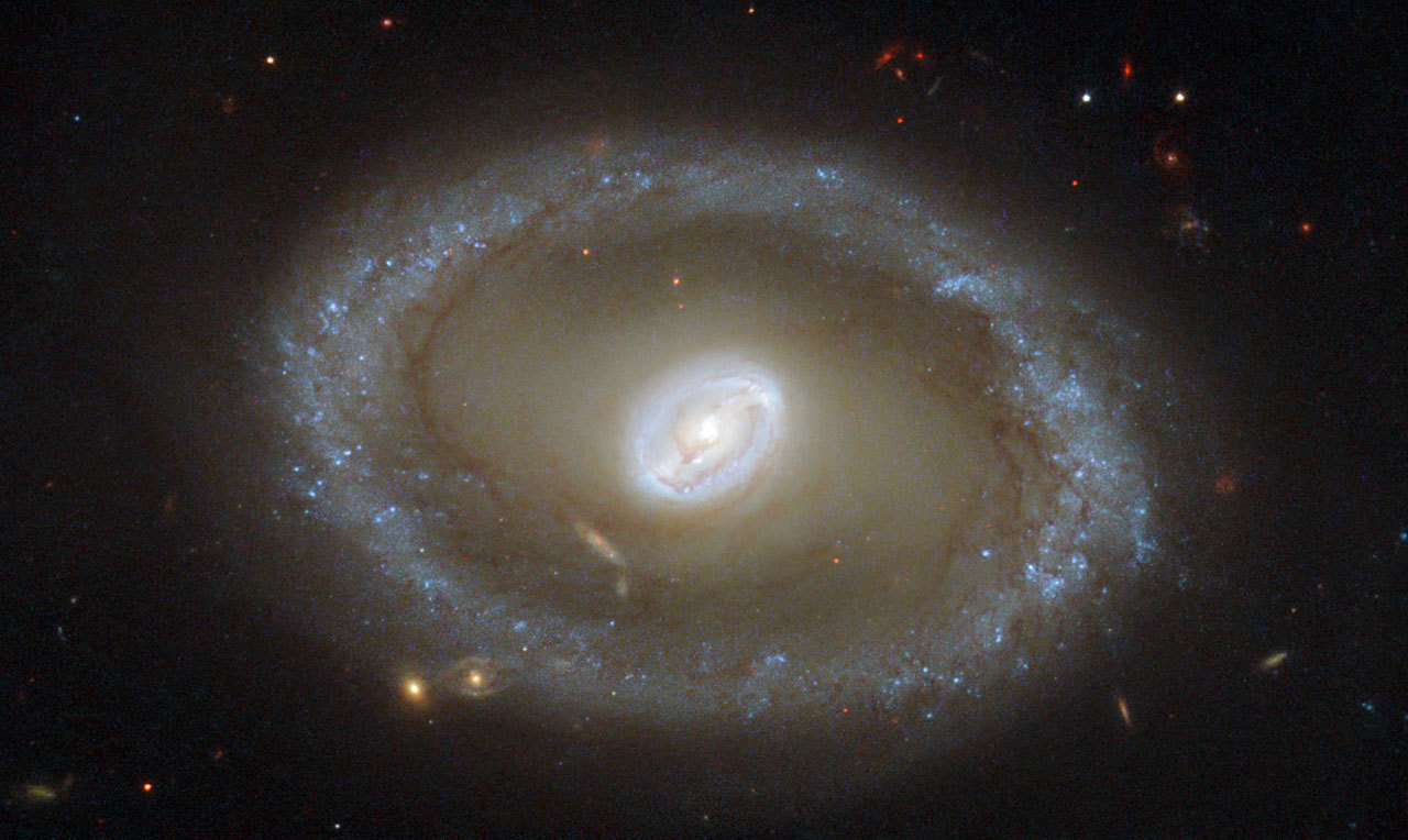 spaceexp:  NGC 3081; This golden ring is full of bright clusters and bursts of new