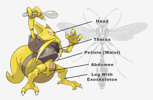 “the Abra line are foxes” buddy that’s just a Weird Bug. why else is one of its ‘dex entries c
