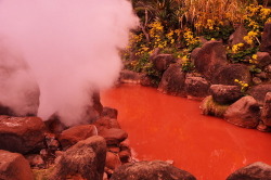 vagabonne:  Chinoike Jigoku, also known as Bloody Hell Pond. 