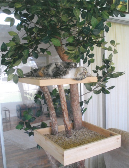 sosuperawesome: Pet Tree Houses on Etsy Obsessed