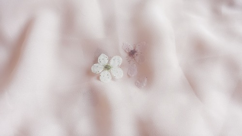 ininicentdoll:delicate and fragile