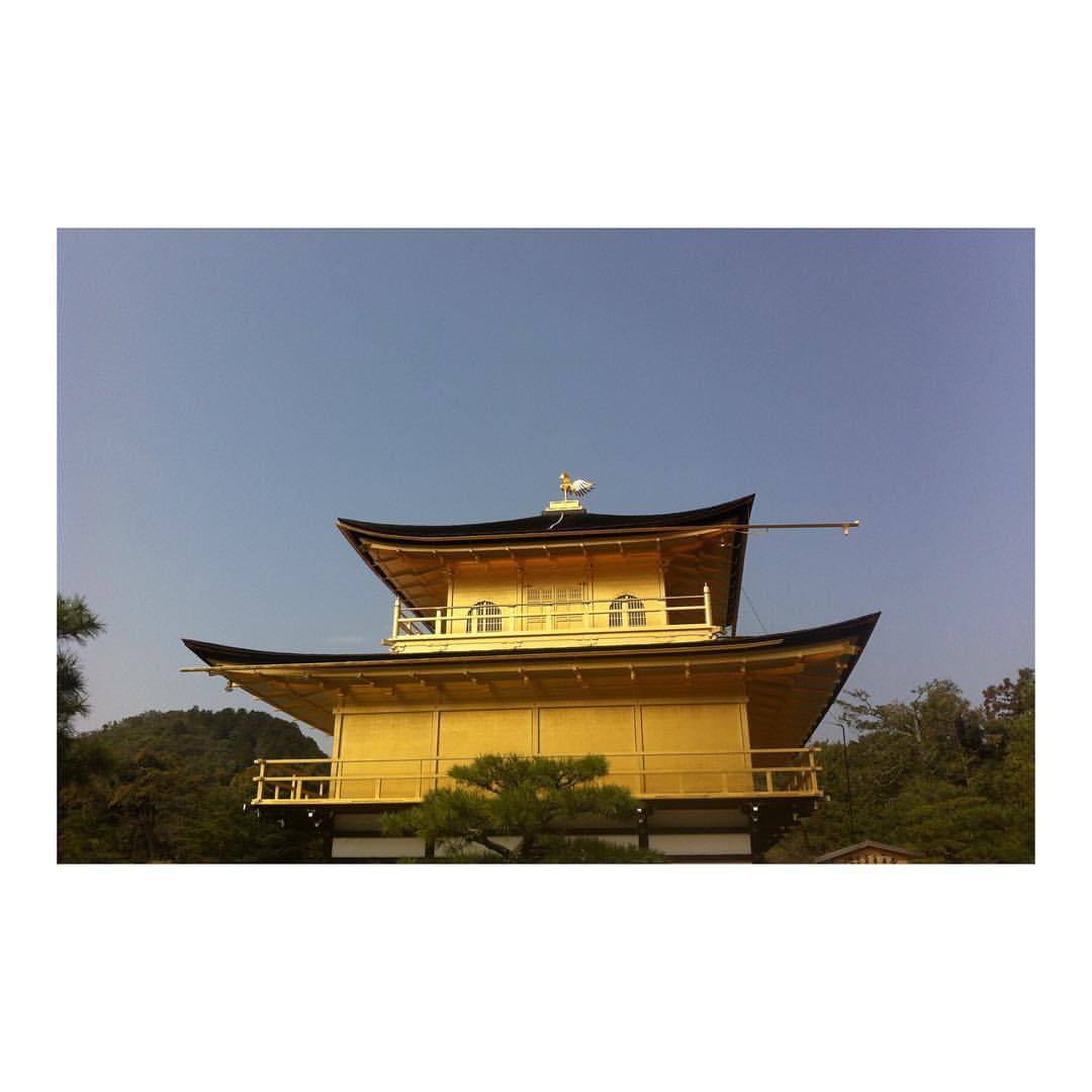 Kinkakuji temple. Kyoto, Japan. March 2015.  #kinkakuji #temple #japan #gold #goldenpavilion
