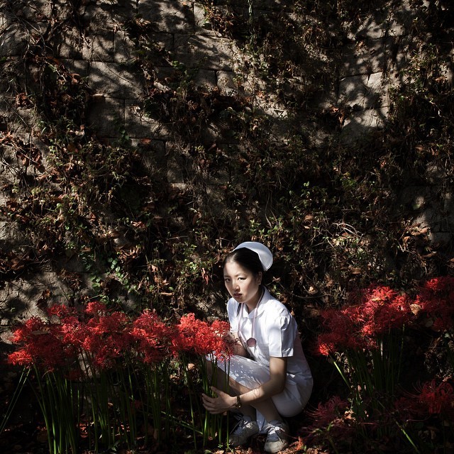 Amaryllis Nurse.
ヒガンバナース。
model: @rererereirei78
#ポートレート部
#ナースしりーず
今年最後の？彼岸花ポストでございます。
ヒガンバナースの写真もタンブラーにまとめてありますので良かったらぜひ！
http://tmblr.co/Zop2fq1TQK6aT
あと、そろそろFacebookで個展のイベントページ立ち上げますので、良かったらよろしくお願いします(●´◡`●)♥︎
(巾着田（きんちゃくだ）)