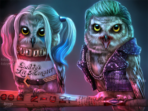 Suicowl Squad - Joker owl and Owly Quinn  second part of the owly quinn painting&hellip;. p