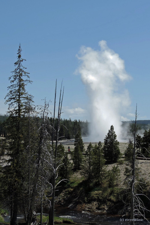 Watching Old Faithful erupt from above the Firehole River, Yellowstone National Park, Wyomingriverwi