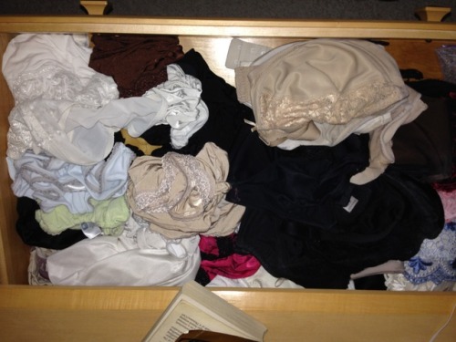 Elaine’s pantie drawer, a 30′ish computer programmer in Georgia.  Do you work with her?
